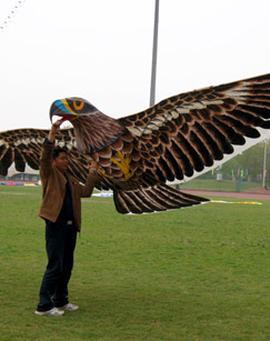 解放的潘多拉电影在哪看