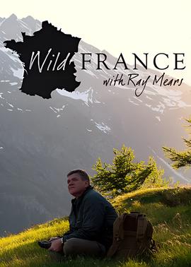 挪威的森林伍佰原版