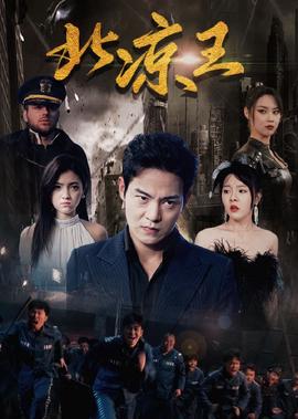 无限斯特拉托斯第一季全集中文版