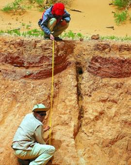 胡桃夹子免费观看完整版
