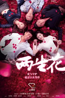 风之谷动画电影国语版