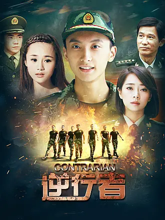 连续剧排行榜前十名