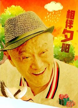 极品女士第三季全集