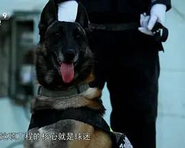 幸福里的故事全集免费云播放