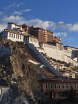 柯南真人版电视剧