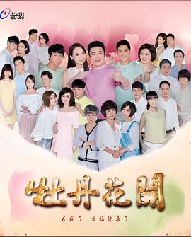 外乡人电视剧高清在线观看