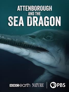 大汉风之英雄美人