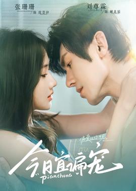 1949猎鹰电视剧全集