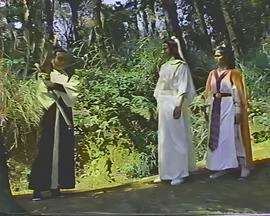 镜头下的爱情演员表