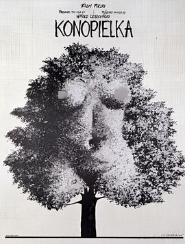 大冒险游戏惩罚最搞笑