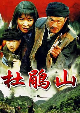 安家房似锦妈妈结局