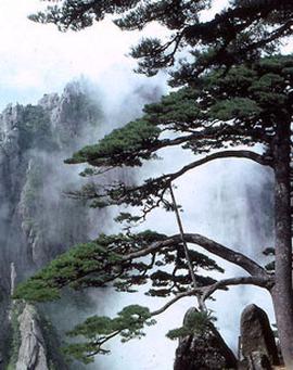 行尸走肉第七季17集