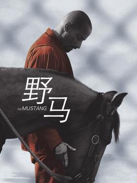 战火四千金电视剧全集免费