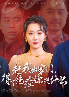 海贼王游戏破解版