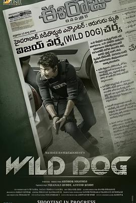 飞虎2国语在线播放