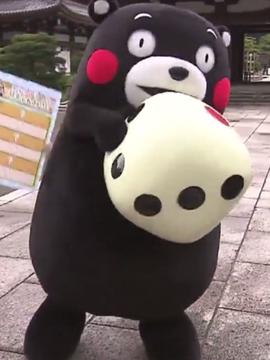 风雨丽人演员表