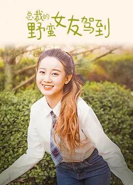 新萧十一郎电视剧全集免费观看