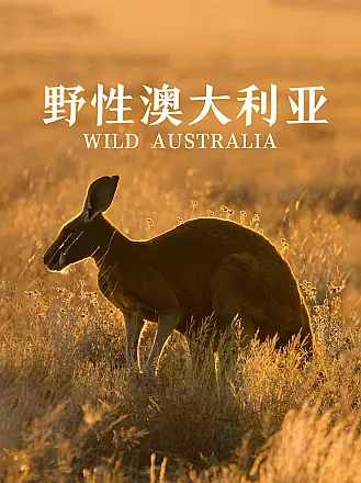 透明人2在线观看