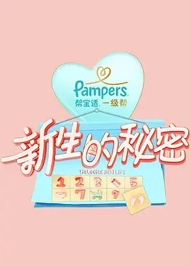 2013会计从业资格证