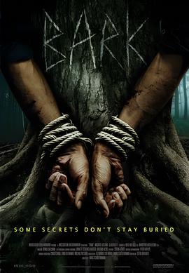 笨贼一箩筐 电视剧