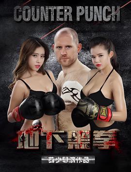 正阳门下电视剧完整版下载