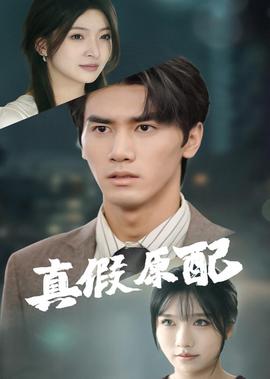 拳皇命运动画片