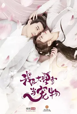 听风电影未删减完整版在线观看