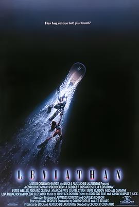 我的朋友陈白露电视剧