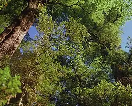 泰坦尼克号下载mp4