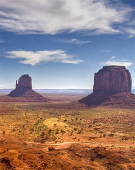 法证先锋第3部国语在线观看