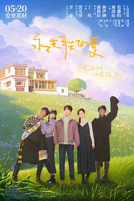 电视剧 安家 免费