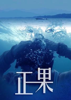 天龙特攻队高清迅雷下载