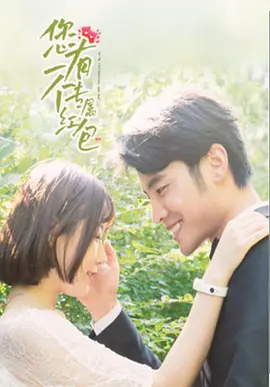 王新军个人资料