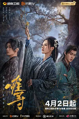 伪装者手机免费完整