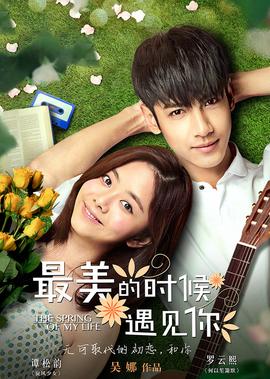 宠物小精灵图鉴大全