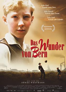 南非世界杯用球