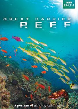 电视剧远方的山楂树