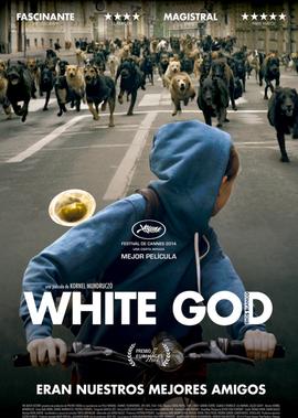 啦不啦多警长的故事