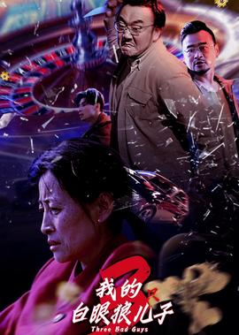 陆贞传奇什么时候开始播的