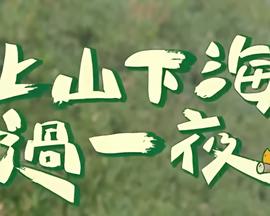 决战燕子门主演