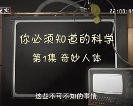 拜托了冰箱第五季免费完整版