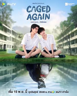 火影忍者打佩恩是哪几