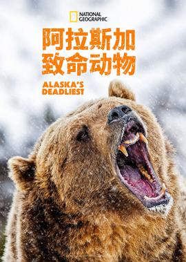 老友记第七季在线播放