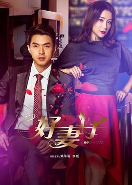 邵兵电视剧大全