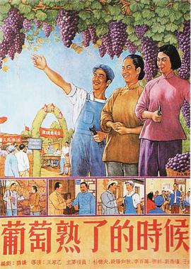 海贼王罗是怎么死的