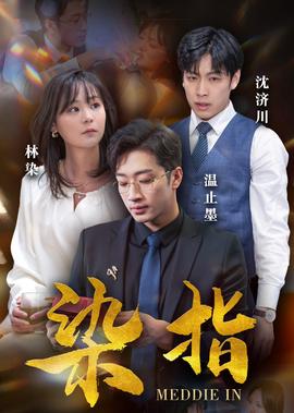 我的团长我的团第二部