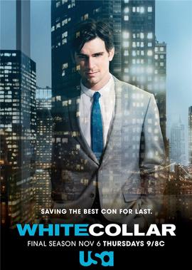 野茱萸电视剧免费观看