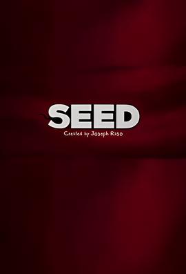 无声夜电影解析