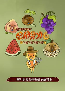 天衣无缝电视剧全集在线免费观看