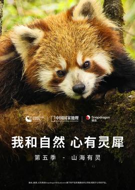 夏洛特的网中文版